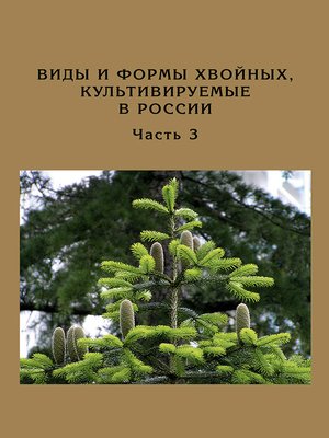 Виды и формы хвойных, культивируемые в России. Часть 3. Abies Mill ...